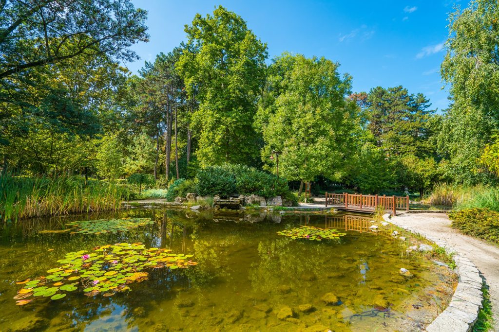 Jókai park: Tó és híd