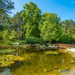 Jókai park: Tó és híd