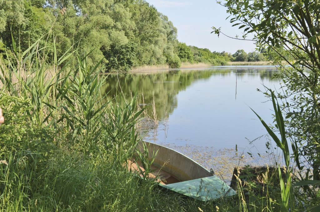 Töreki Természetvédelmi Terület: Tó